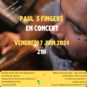 Concert de Paul's Fingers